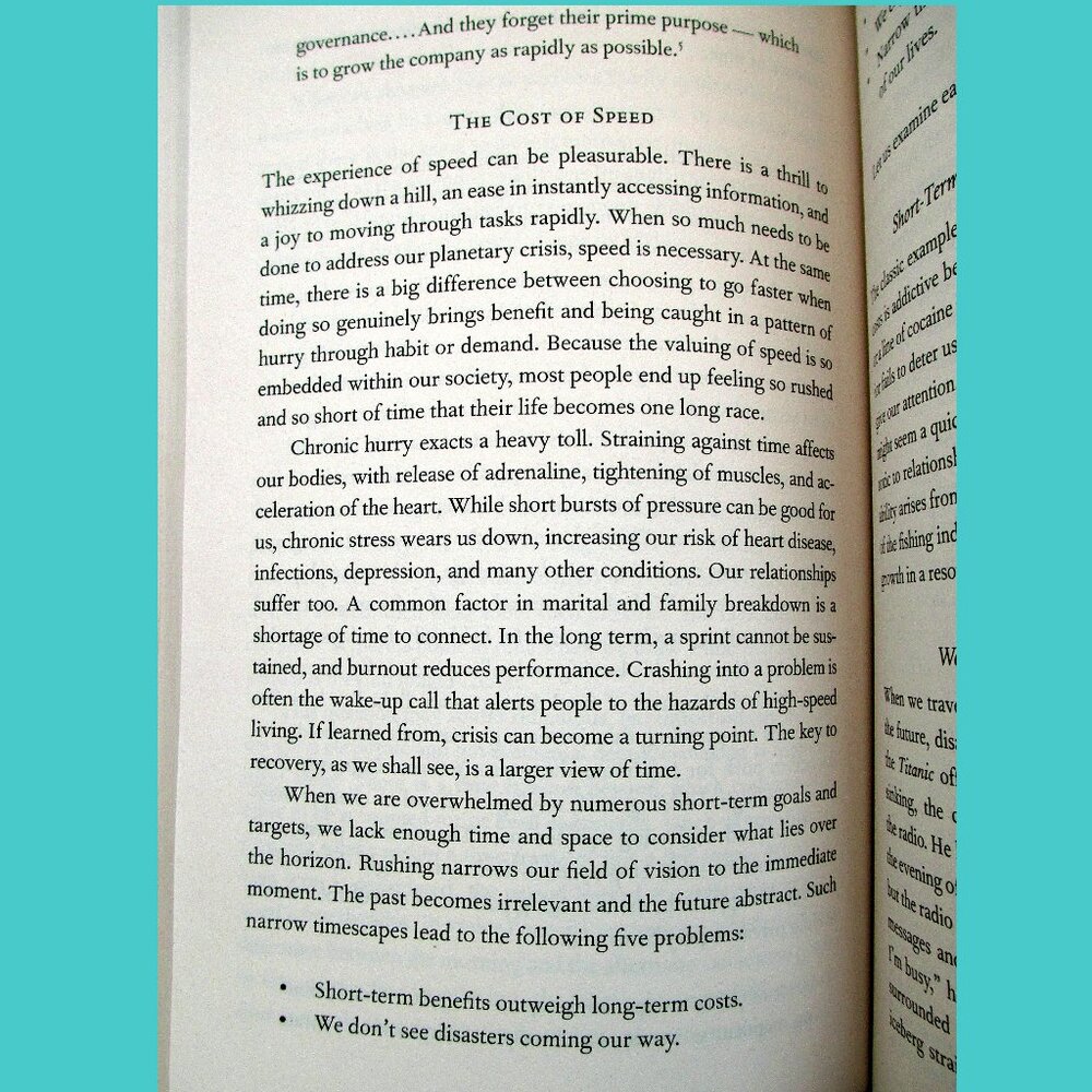 Book - Active Hope: How to Face the Mess We're in Without Going Crazy - Picture 10 of 16